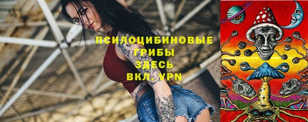 ешки Новозыбков